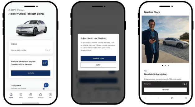 Συνδρομητικές Υπηρεσίες Bluelink®